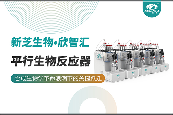 培养菌株和评估工艺参数影响太难太慢？平行生物反应器提供关键解决方案！