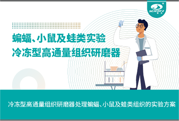 冷冻型高通量组织研磨器处理蝙蝠、小鼠及蛙类组织的实验方案
