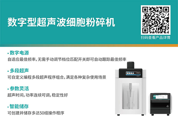 微信图片_20251215131412